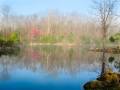 sping-pond-3